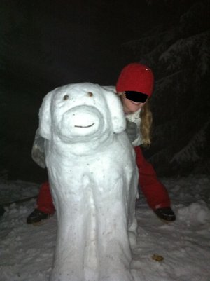 rogla 03.01.2012.