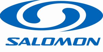 -.--.-salomon logo