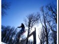Pics n Tricks