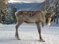 Hochpustertal / Alta Pusteria, Dolomitisuperski, Italija