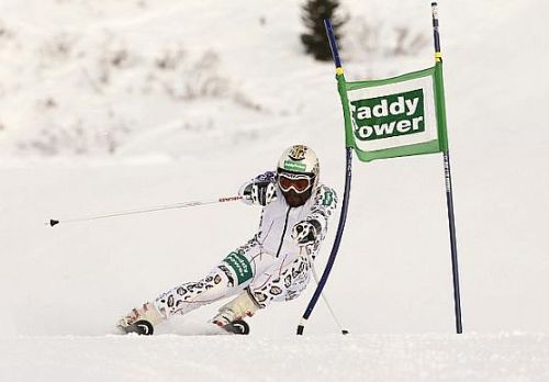 -.--.-snježni leopard